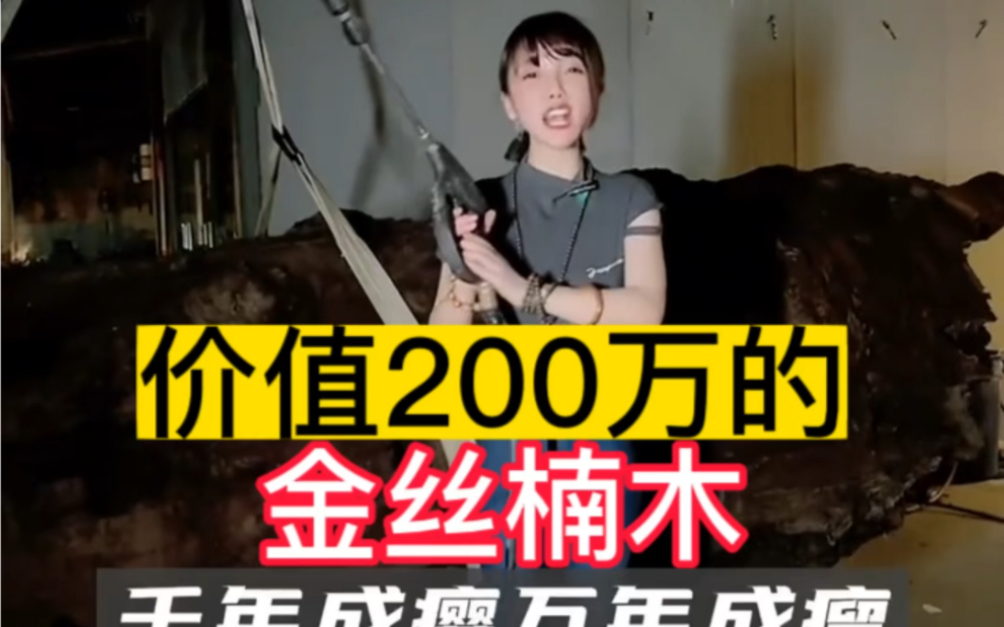 价值200万的金丝楠木阴沉木!带大家看看值不值的?哔哩哔哩bilibili