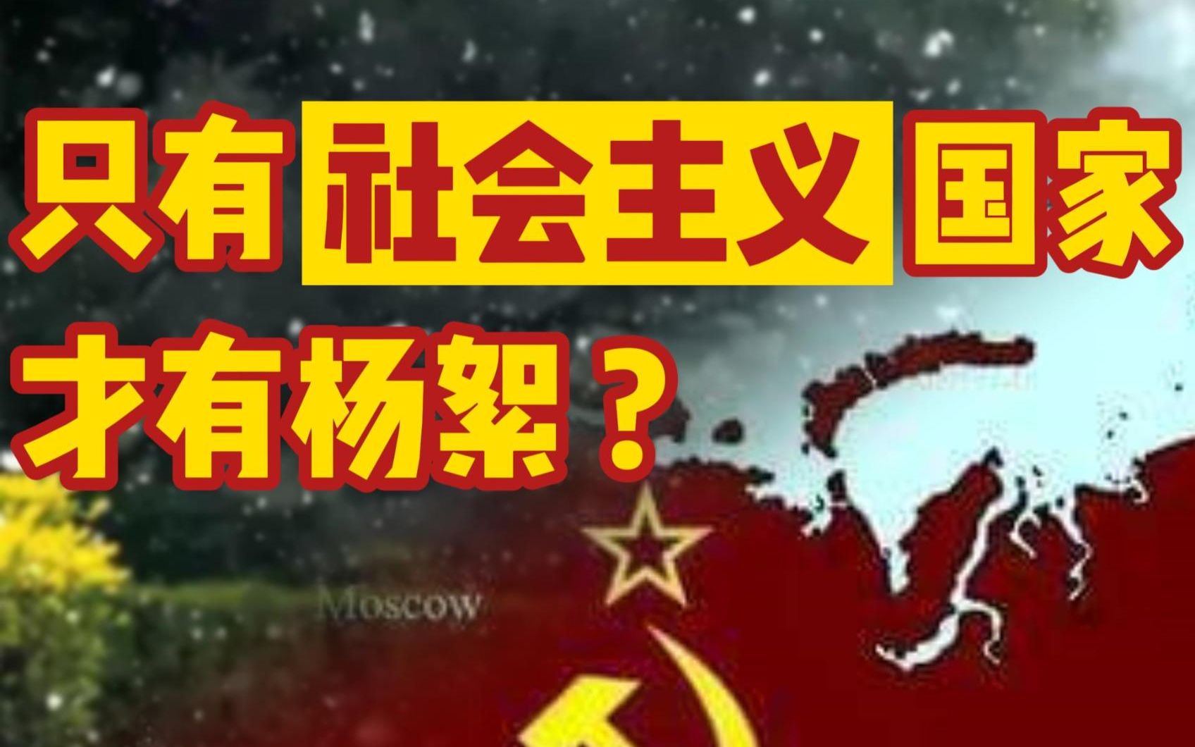 杨絮竟是社会主义特产?飞絮飘飘背后的社会主义城市绿化史哔哩哔哩bilibili