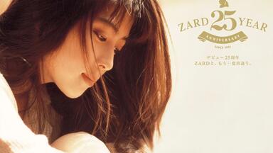 フ*ス様 ZARD/What a beautiful memory 2009 フ*ス様 ZARD/What a beautiful memory 2009 Amazon.co.jp: ZARD