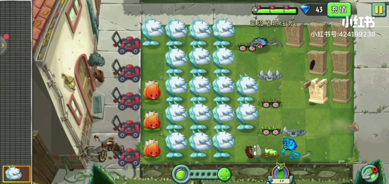 植物大战僵尸2-灯笼草特定关卡