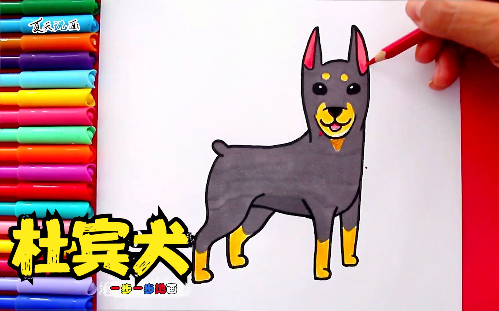 活动   夏天说画 儿童画一步一步地画杜宾犬