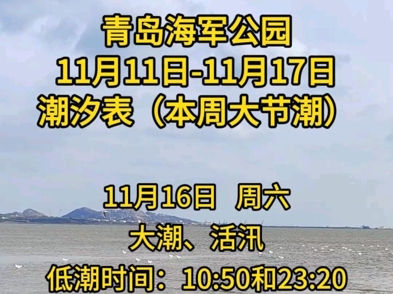 11月11日11月17日,青岛海军公园赶海时间表哔哩哔哩bilibili