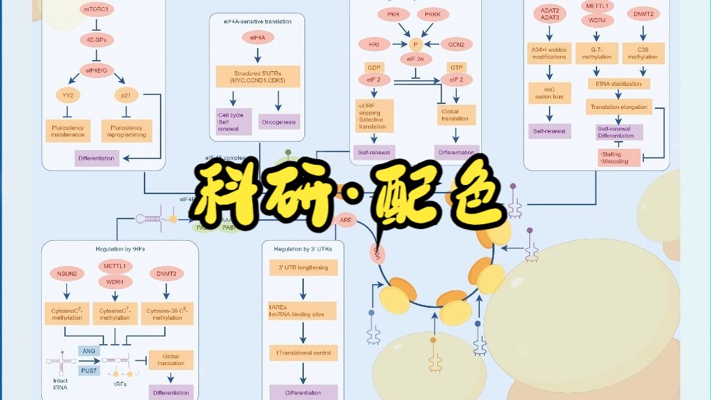 【科研绘图配色分享】哔哩哔哩bilibili