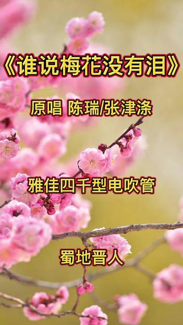 [图]《谁说梅花没有泪》原唱陈瑞/张津涤