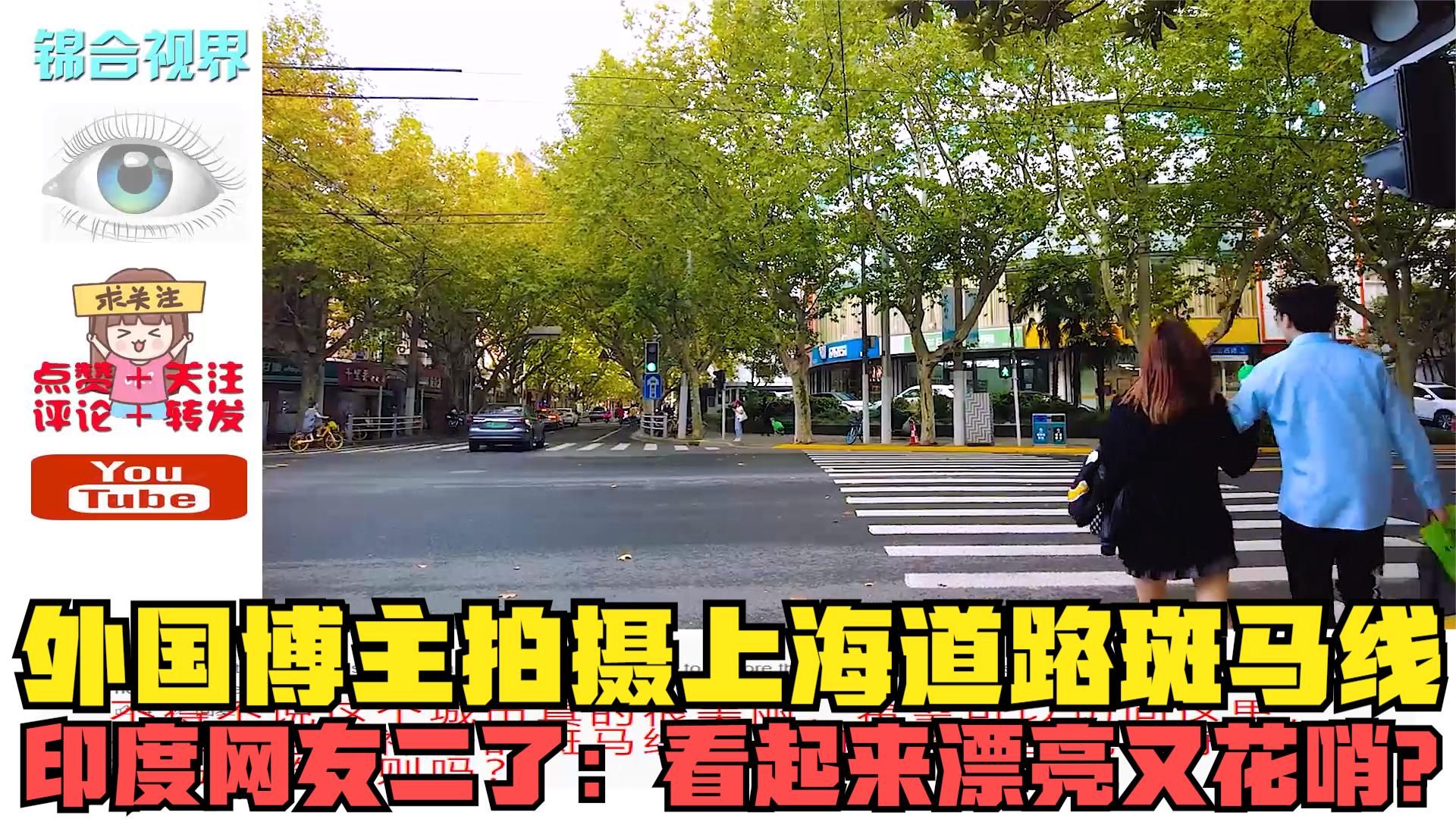 外國博主拍攝上海道路斑馬線,印度網友二了:看起來漂亮又花哨?