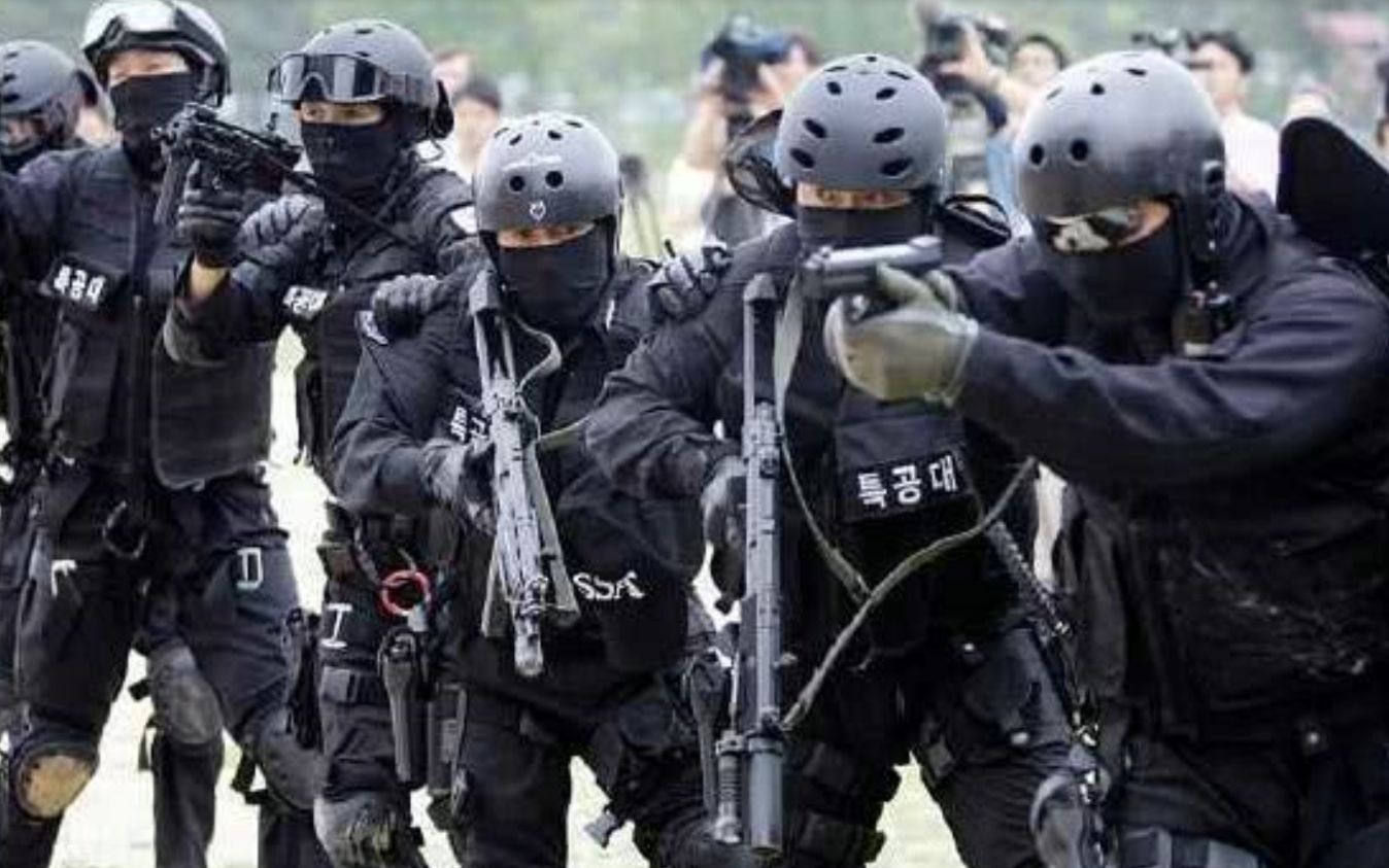 [图]我国警察身背“大宝剑”巡逻！为什么警察现在都爱用古代冷兵器？