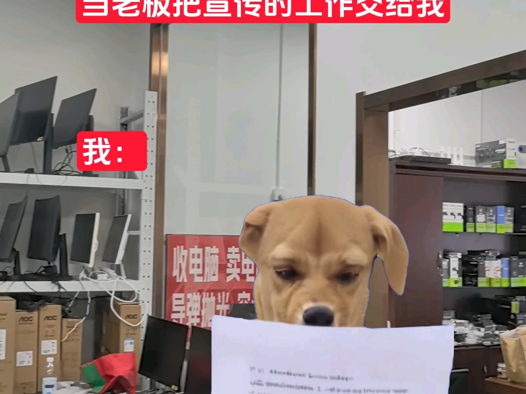 上海芊鑫娄哥电脑科技有限公司上海电脑组装
