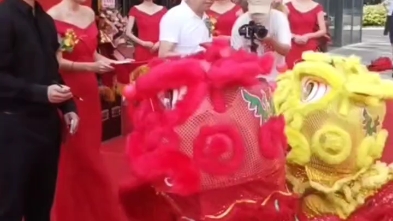 深圳舞狮队表演(19112878129)开业舞狮舞龙《寿宴婚礼舞狮拜寿迎亲》商超开业庆典隆重舞狮仪式《梅花桩高杆狮》《板凳狮》《醒狮点睛》《采 ...