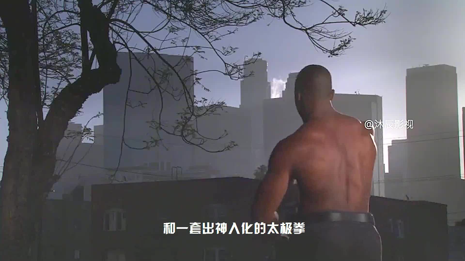 会中国功夫的黑人到底有多厉害? 迈克尔加怀特电影《血与骨》