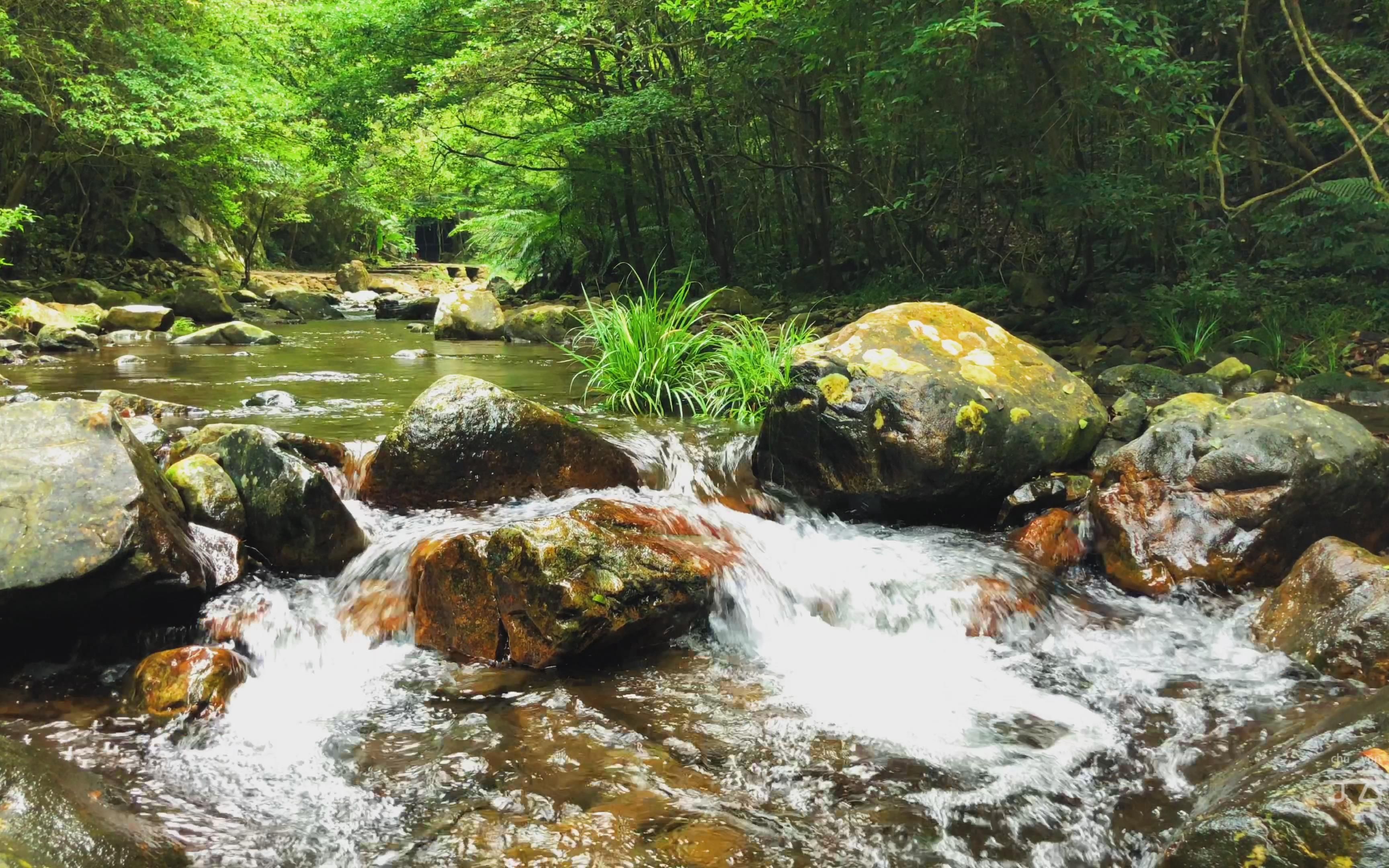 山水拾涧图片