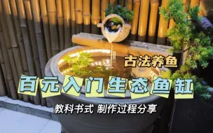 Download Video: 百元入门生态鱼缸教科书级制作分享！