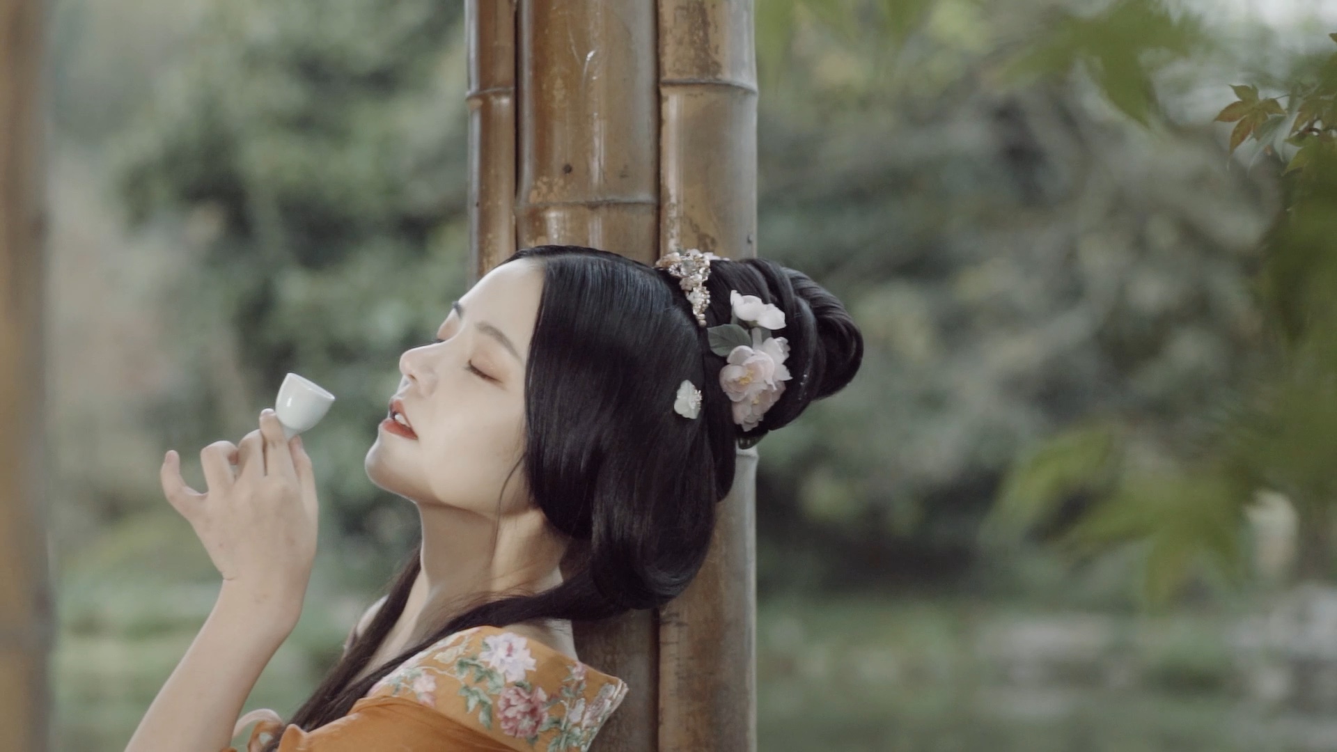 新片预告绝美舞姬美喵喵