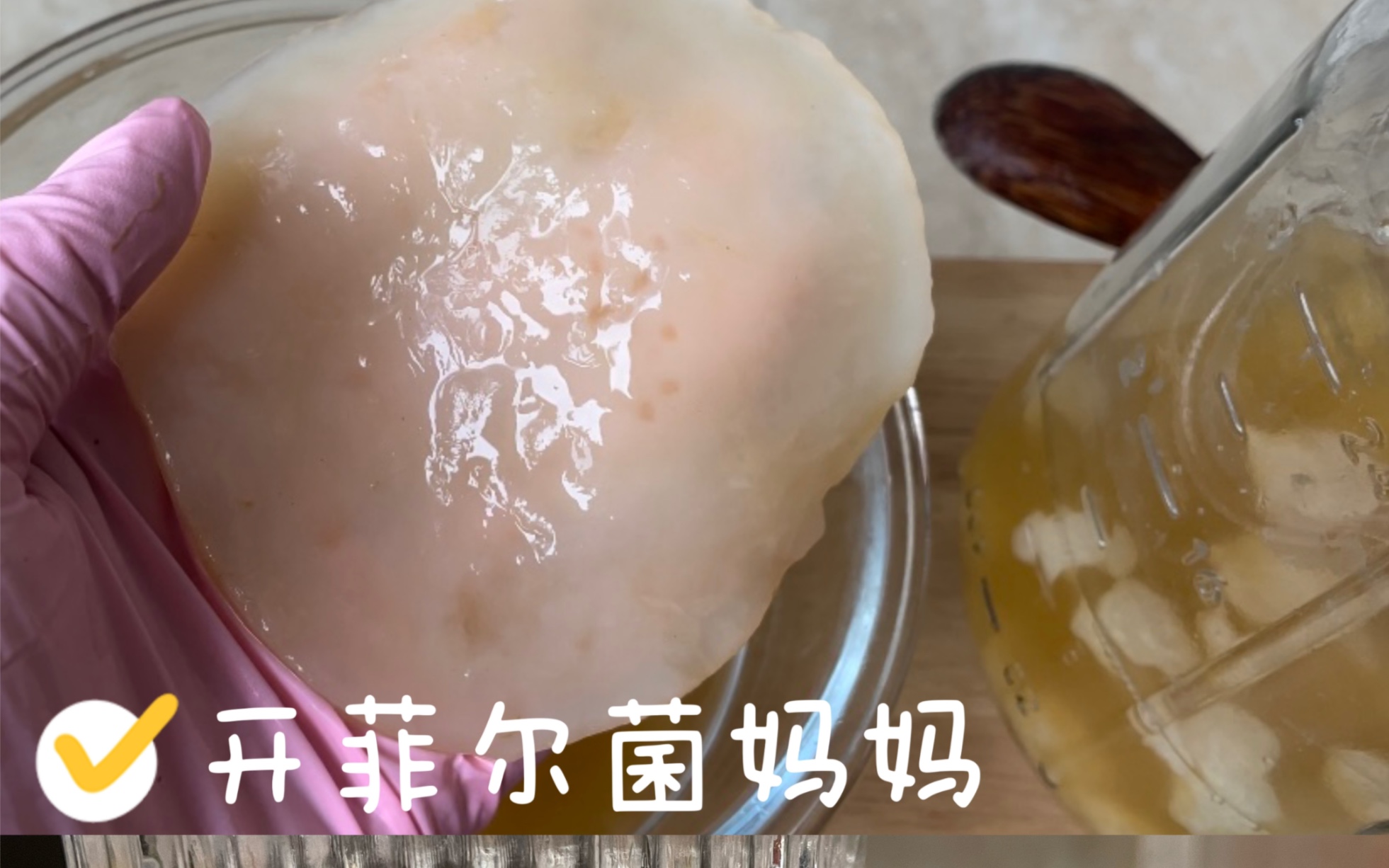 神奇!我的开菲尔菌种居然长菌妈妈啦~哔哩哔哩bilibili