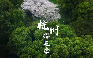 Download Video: 两分钟视频带你看完杭州十一处绝美赏樱地,结束这一季的樱花季