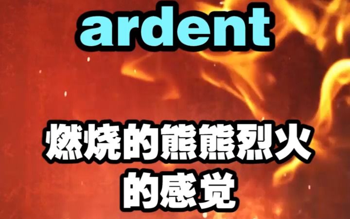 看电影学单词,最美英文词之“ardent”哔哩哔哩bilibili