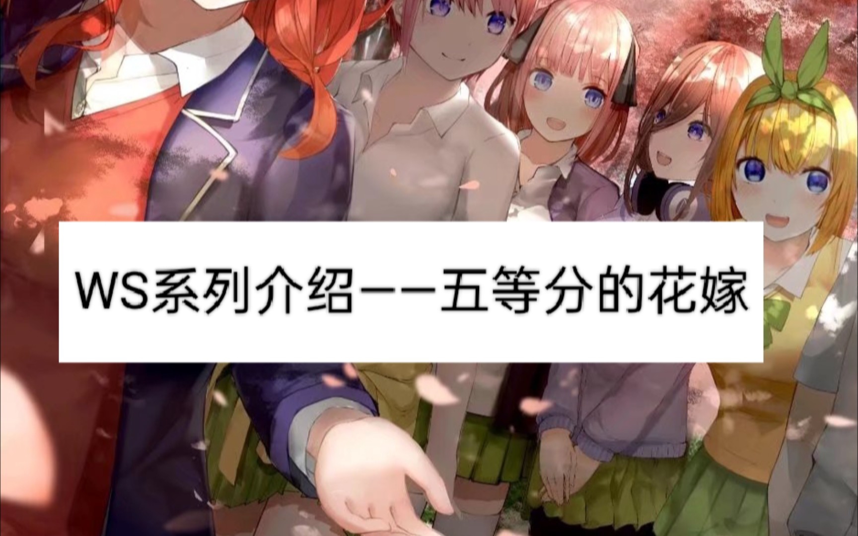 【云翼卡社】黑白双翼——『五等分的花嫁』系列介绍桌游棋牌热门视频