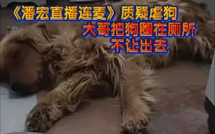 Descargar video: 《潘宏直播连麦现场》质疑大哥虐狗！对狗好点！不然叫滴滴代打！