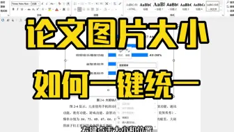 论文图片大小是可以一键调整的……