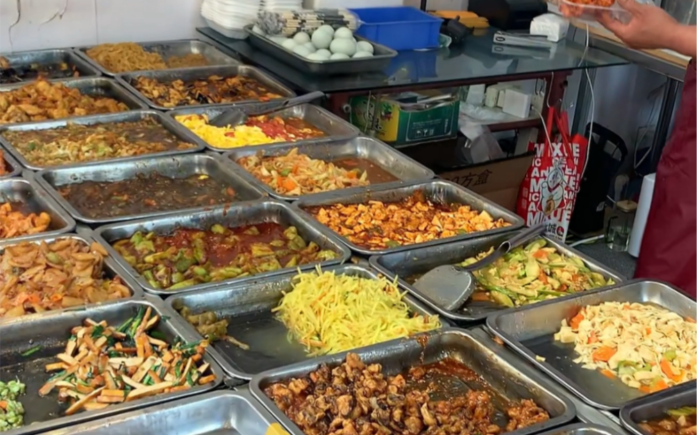 东北街边盒饭让选择困难症的人可怎么办啊!