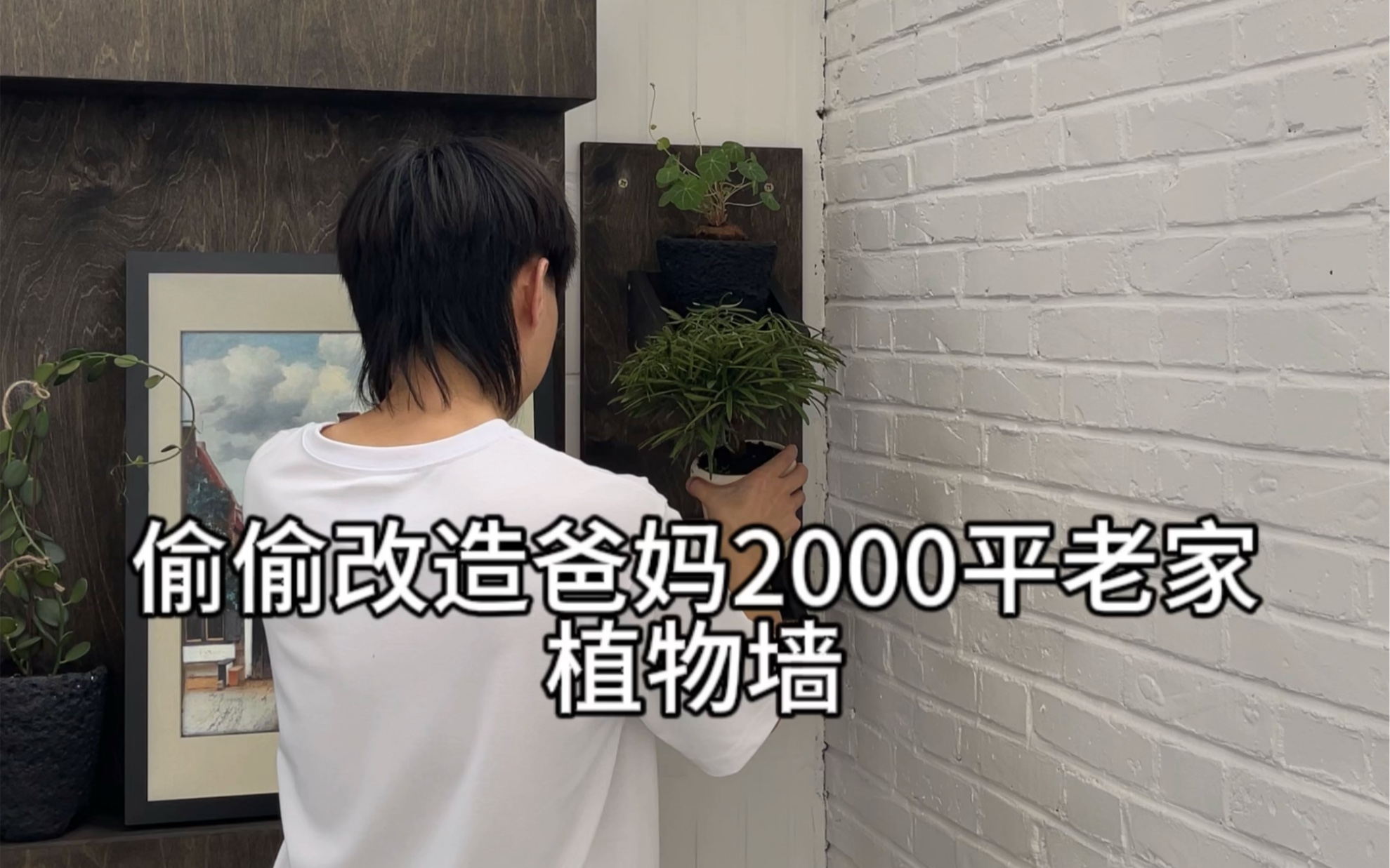 偷偷改造爸妈2000平老家植物墙,一起来做植物墙哔哩哔哩bilibili