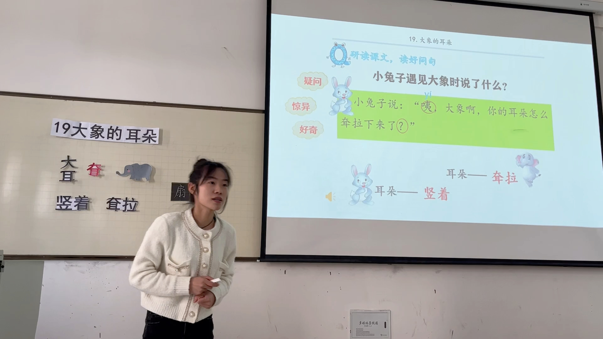 新疆师范大学 研究生展示课 大象的耳朵哔哩哔哩bilibili