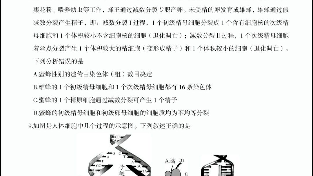 [图]2022年十月哈蒙双百大联考汇总全科