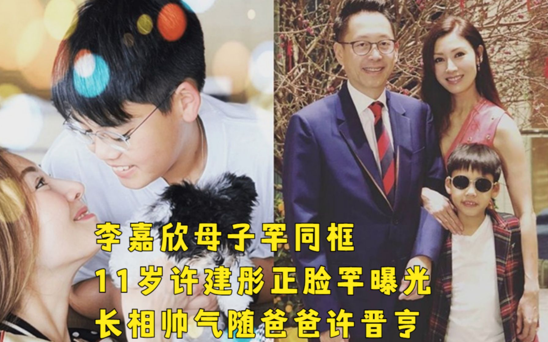 李嘉欣母子罕同框,11岁许建彤越长越像许晋亨,五官帅气十分绅士哔哩哔哩bilibili