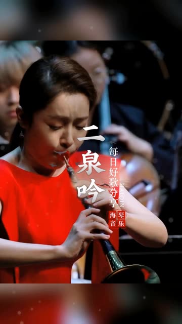 《二泉吟》人生就像一场漫长的旅程,充满了起伏和坎坷