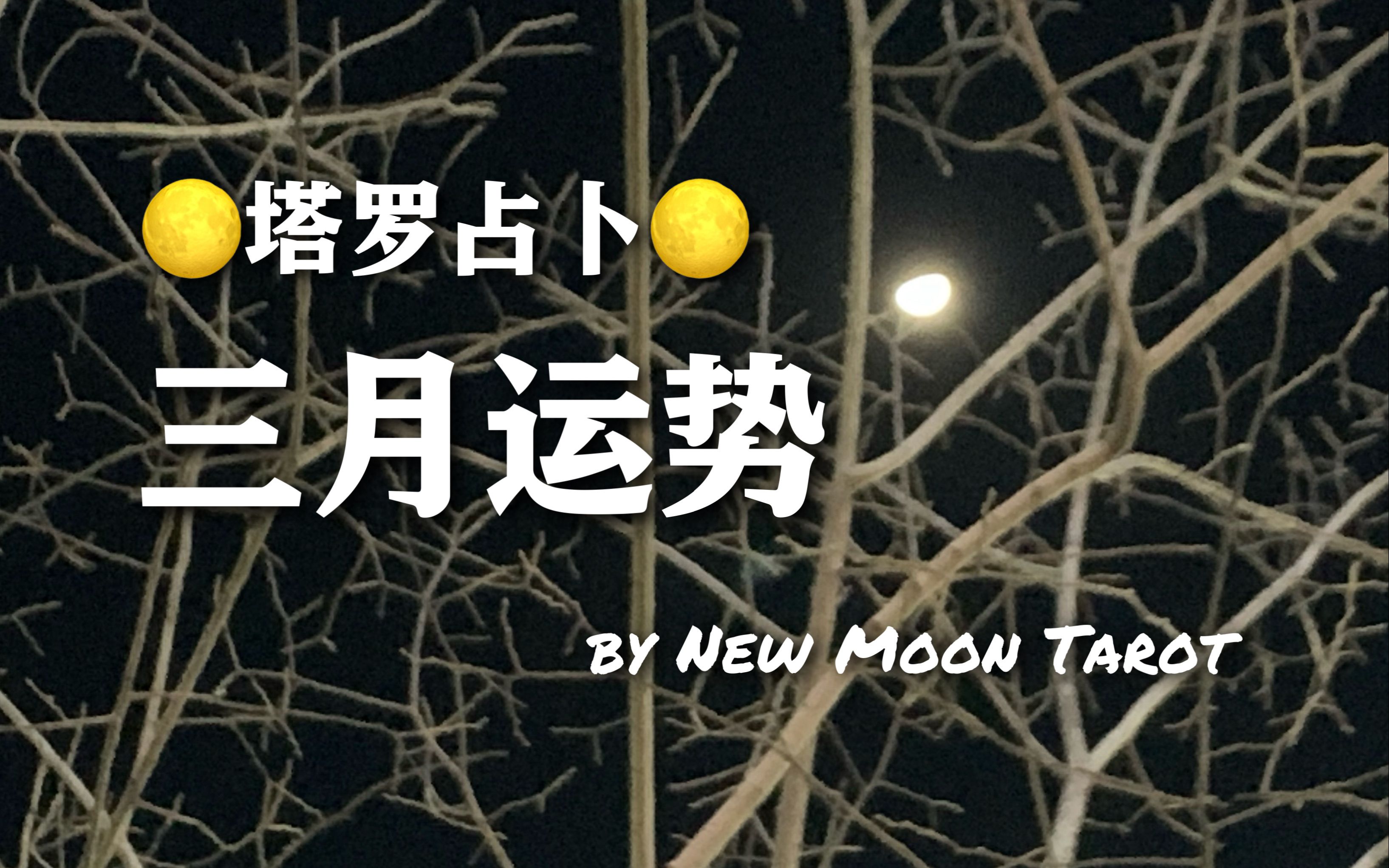 New Moon / 三月运势 / 未来一个月会发生什么 / CHARMS幸运物 / 塔罗占卜哔哩哔哩bilibili