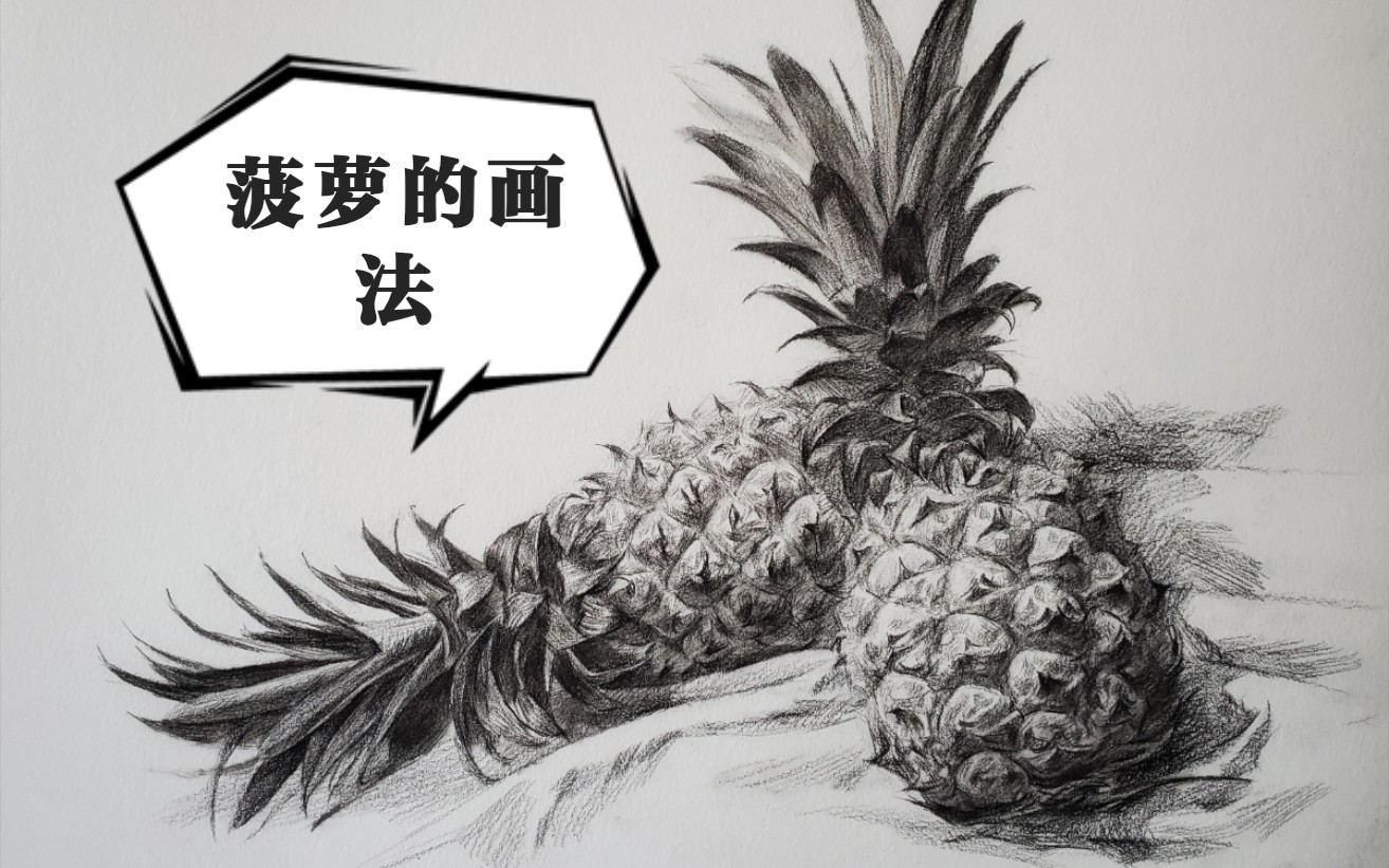 素描全网首个画菠萝