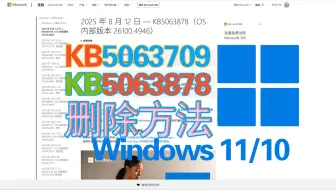 新补丁bug导致掉盘？！删除方法！带验证！