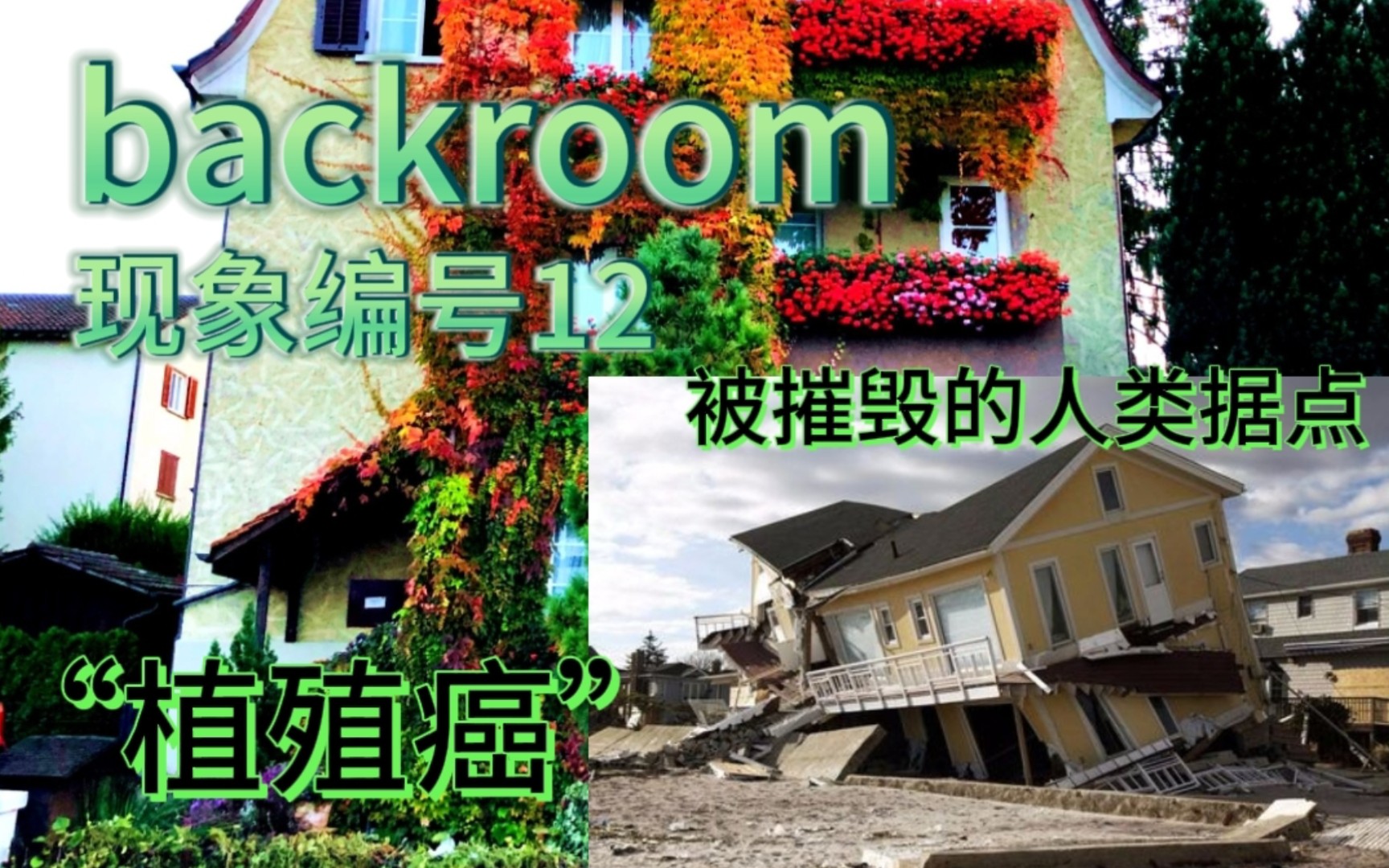 [图]【backroom】现象12-“植殖癌”。它摧毁了人类的前哨站，不断地，不断地，直到全部摧毁掉