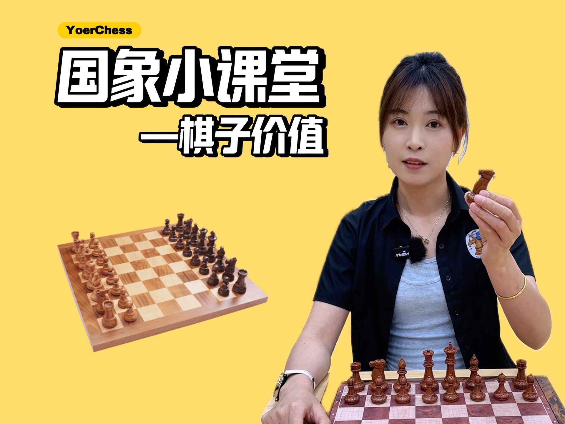 国际象棋入门教程|轻子和重子