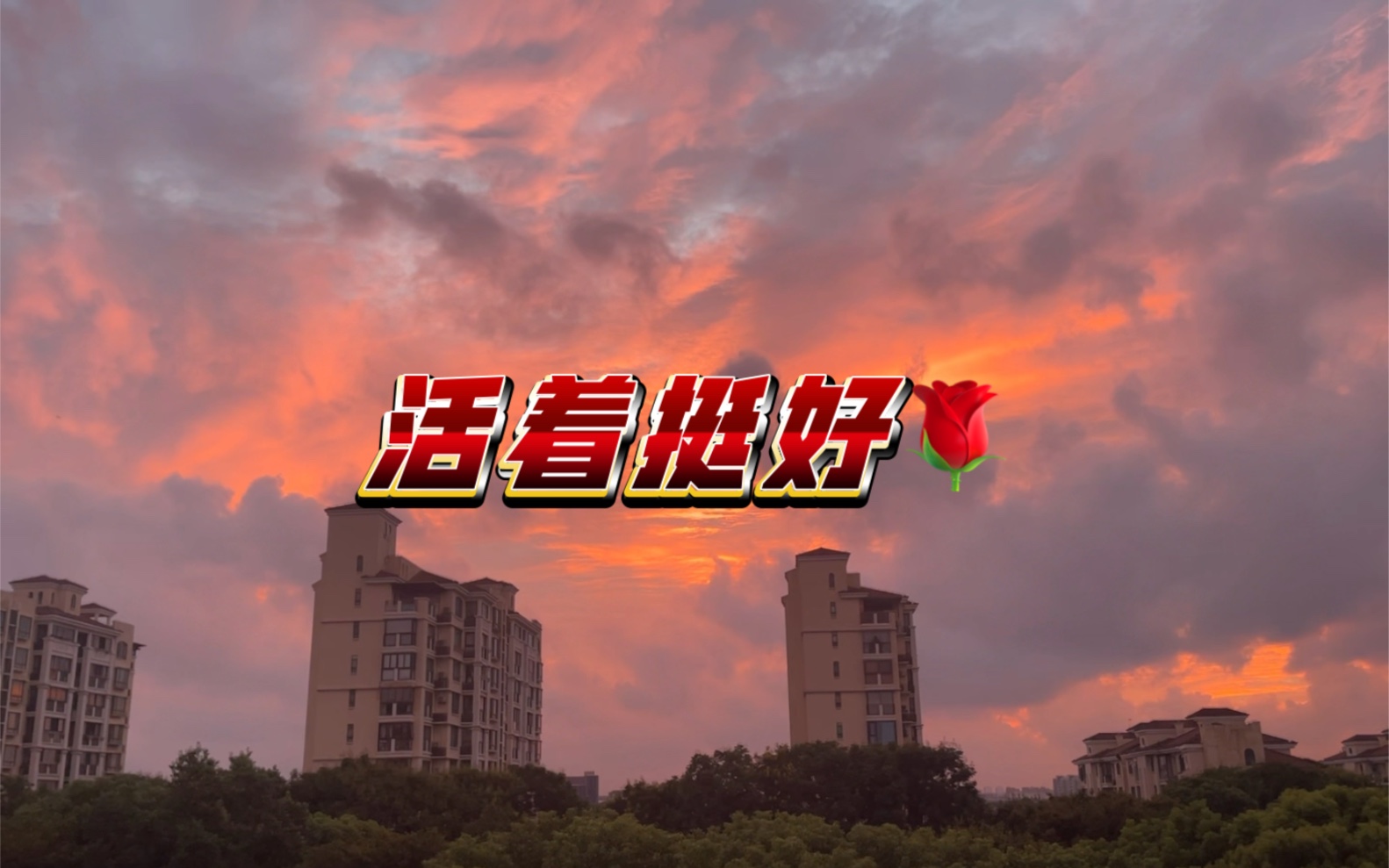 rrのvlog02之活着挺好