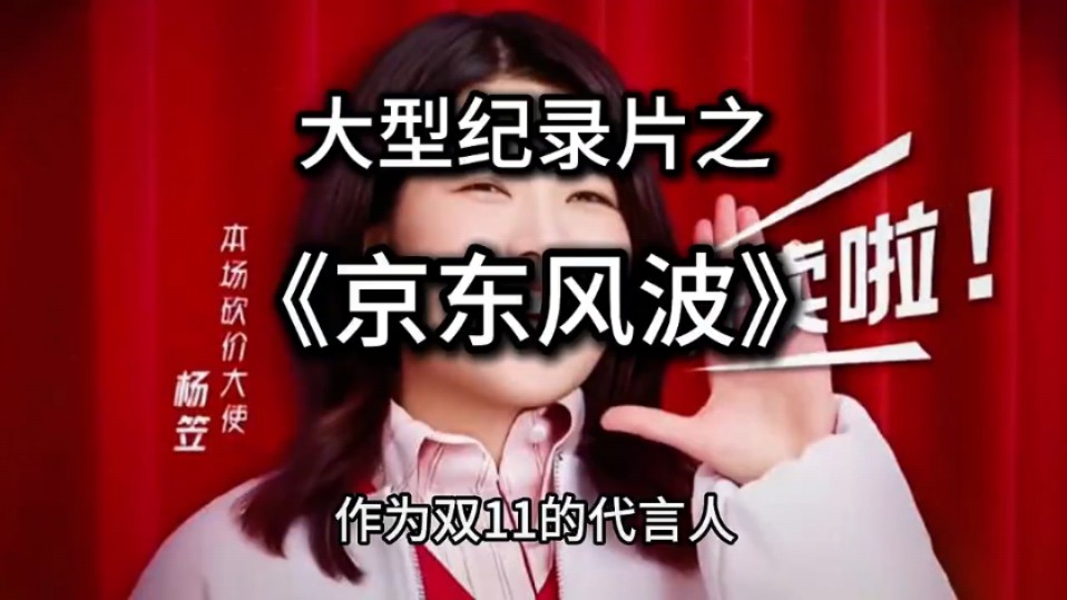 京东算是全把客户得罪一遍了哔哩哔哩bilibili