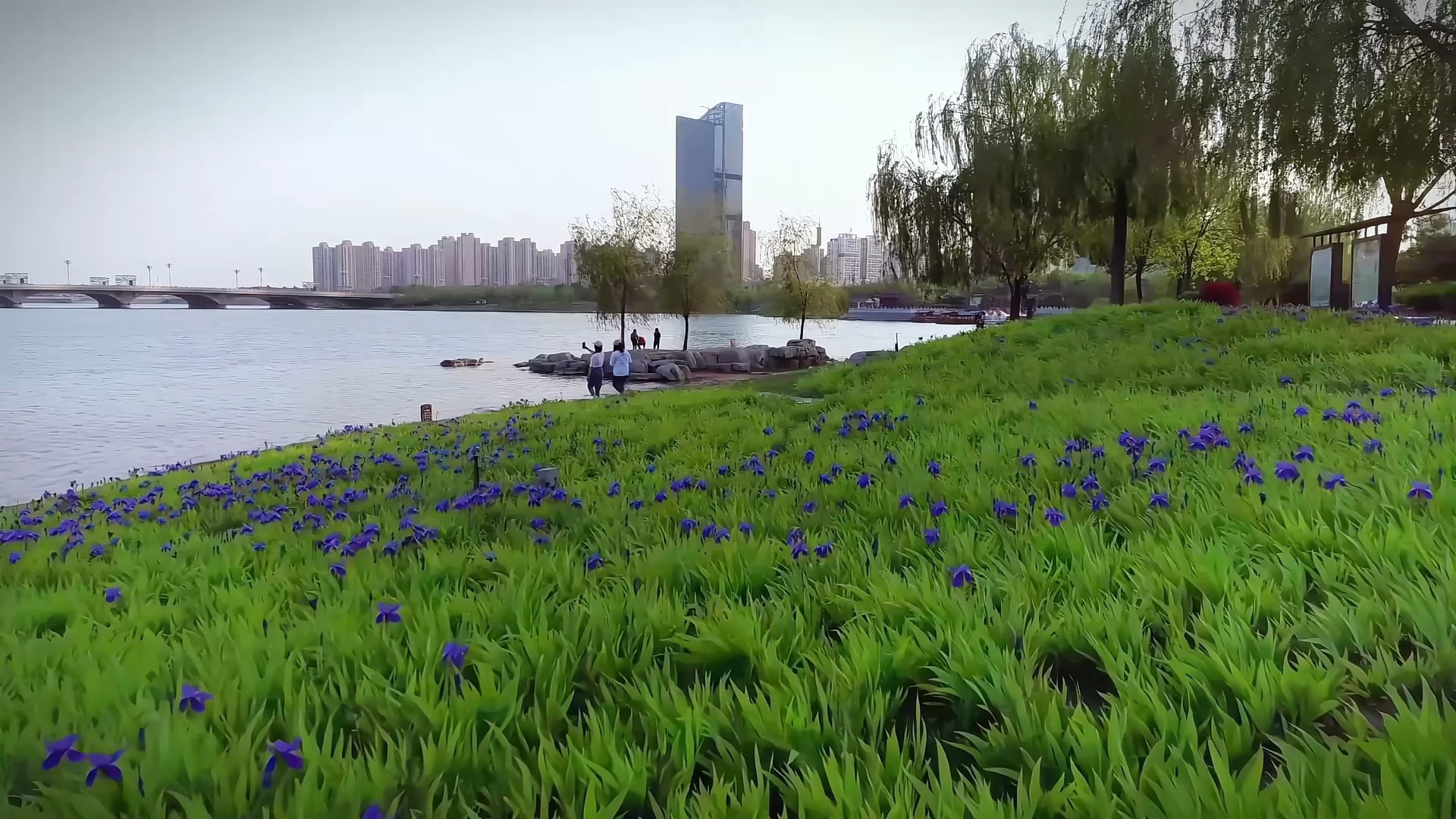 航拍开封西区,从空中解锁古都的现代浪漫!