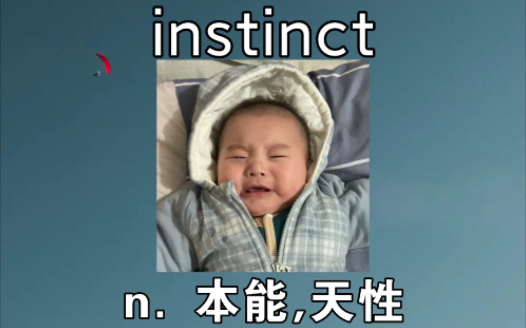 [六级+考研] instinct:n. 本能,天性 《男孩子是单纯喜欢美女》哔哩哔哩bilibili