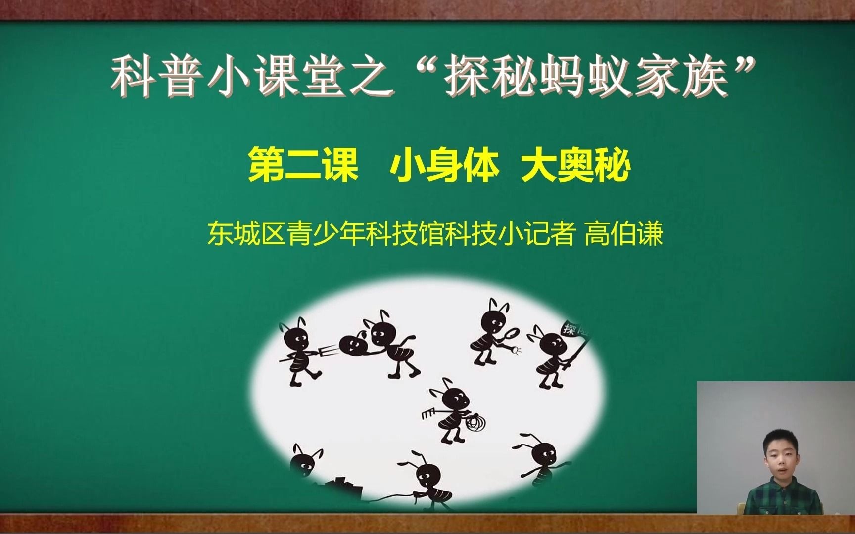 小身体大奥秘