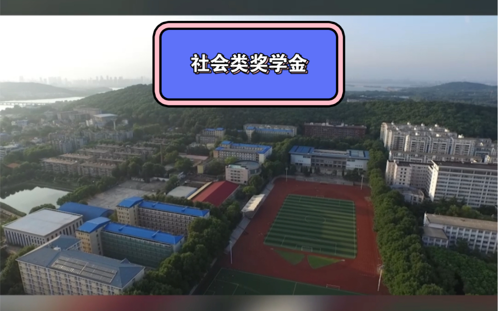 社会类奖学金激励学生努力学习,成就未来哔哩哔哩bilibili