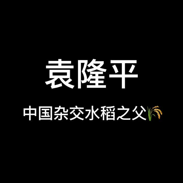 书法字体创意设计|袁隆平哔哩哔哩bilibili