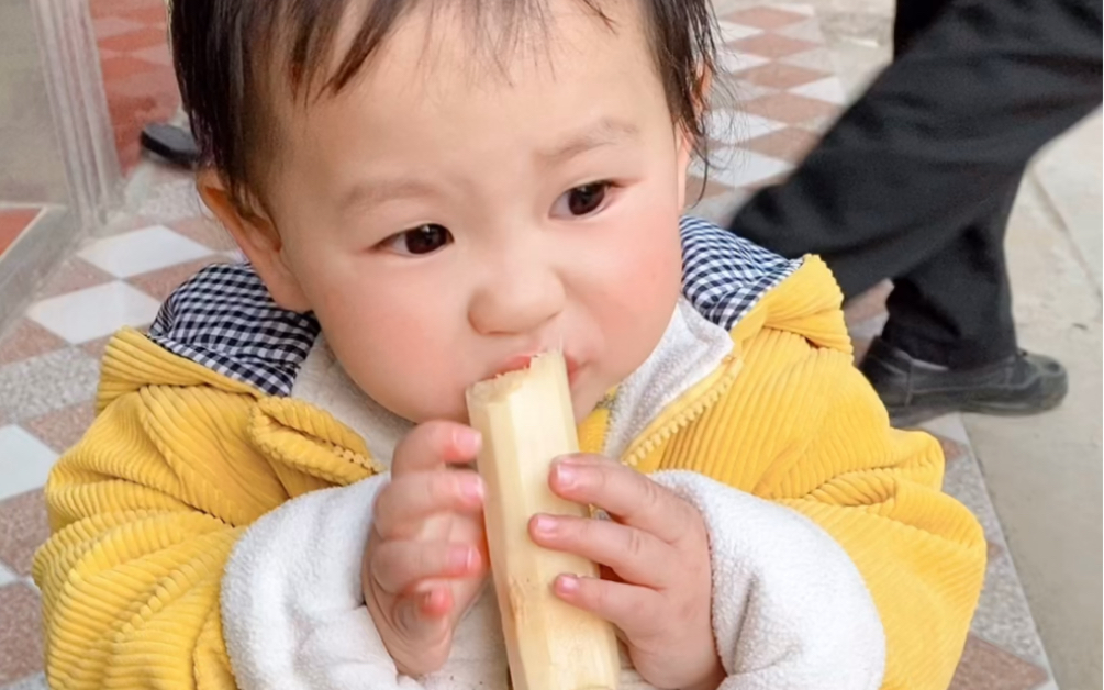 啃甘蔗我是认真的