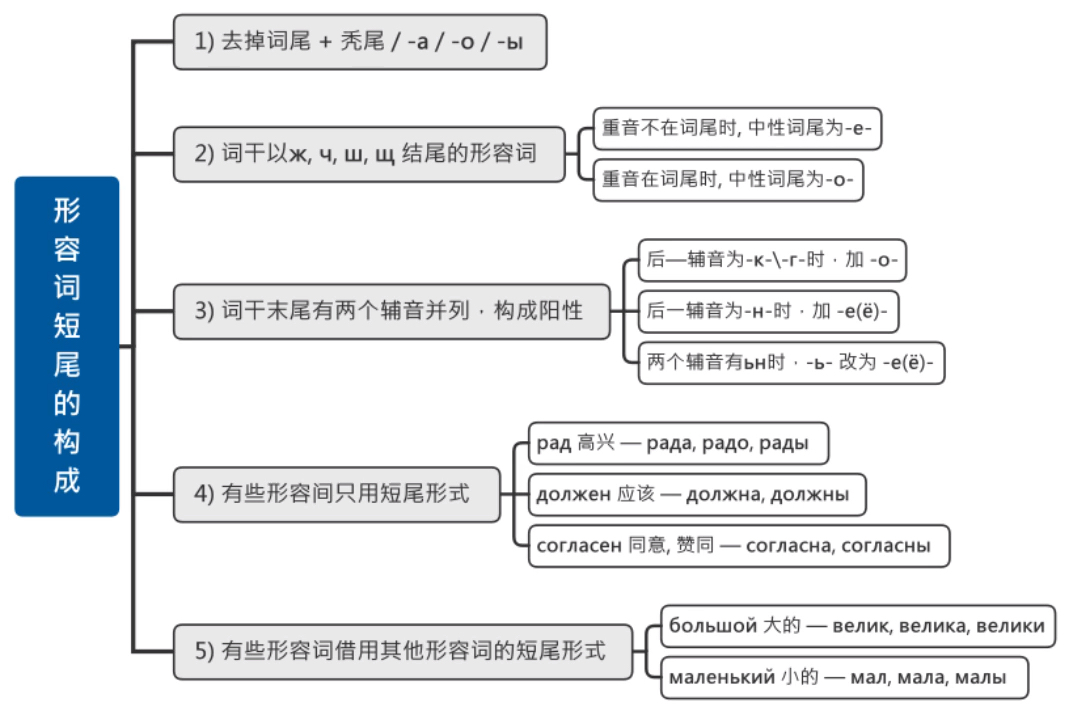 高考俄语语法系列形容词短尾构成哔哩哔哩bilibili