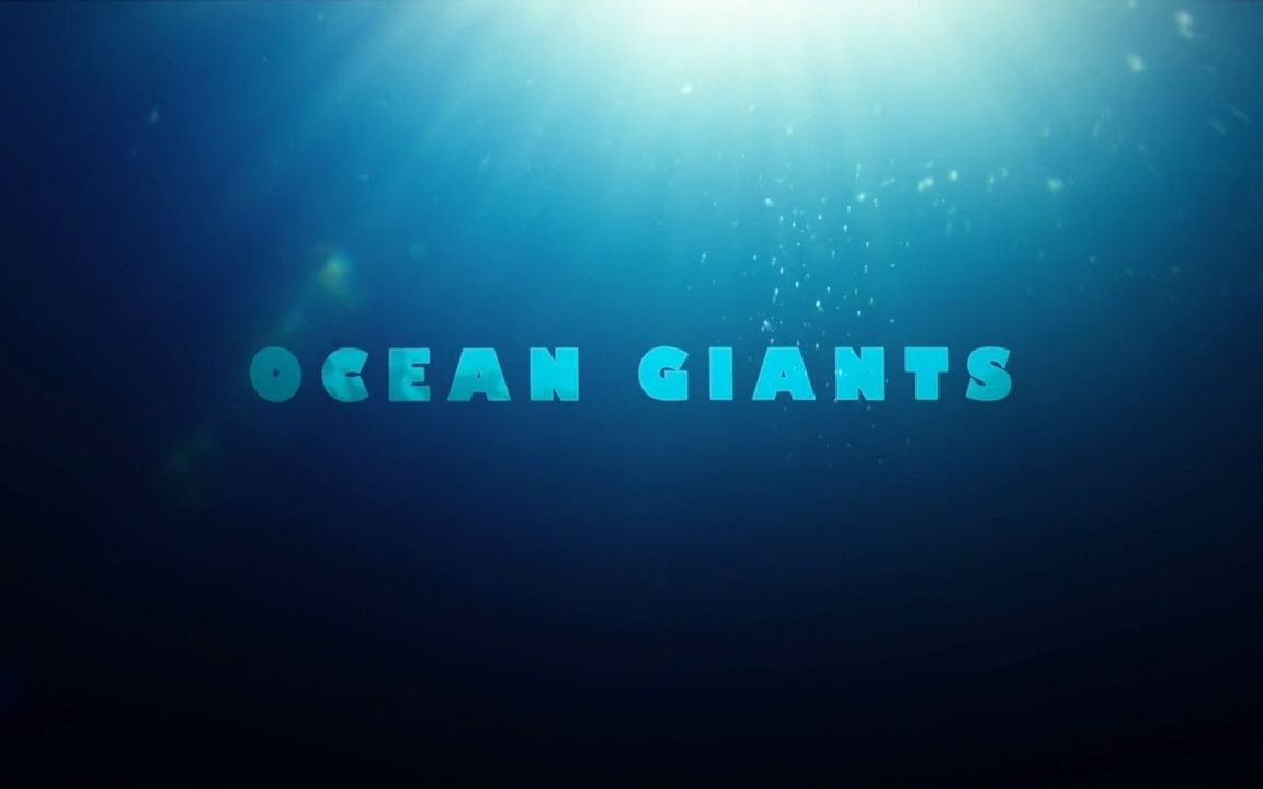 [图]《海洋巨物|Ocean Giants》纪录片 -01- 巨大的生命