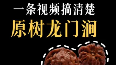龙门涧核桃-哔哩哔哩_Bilibili