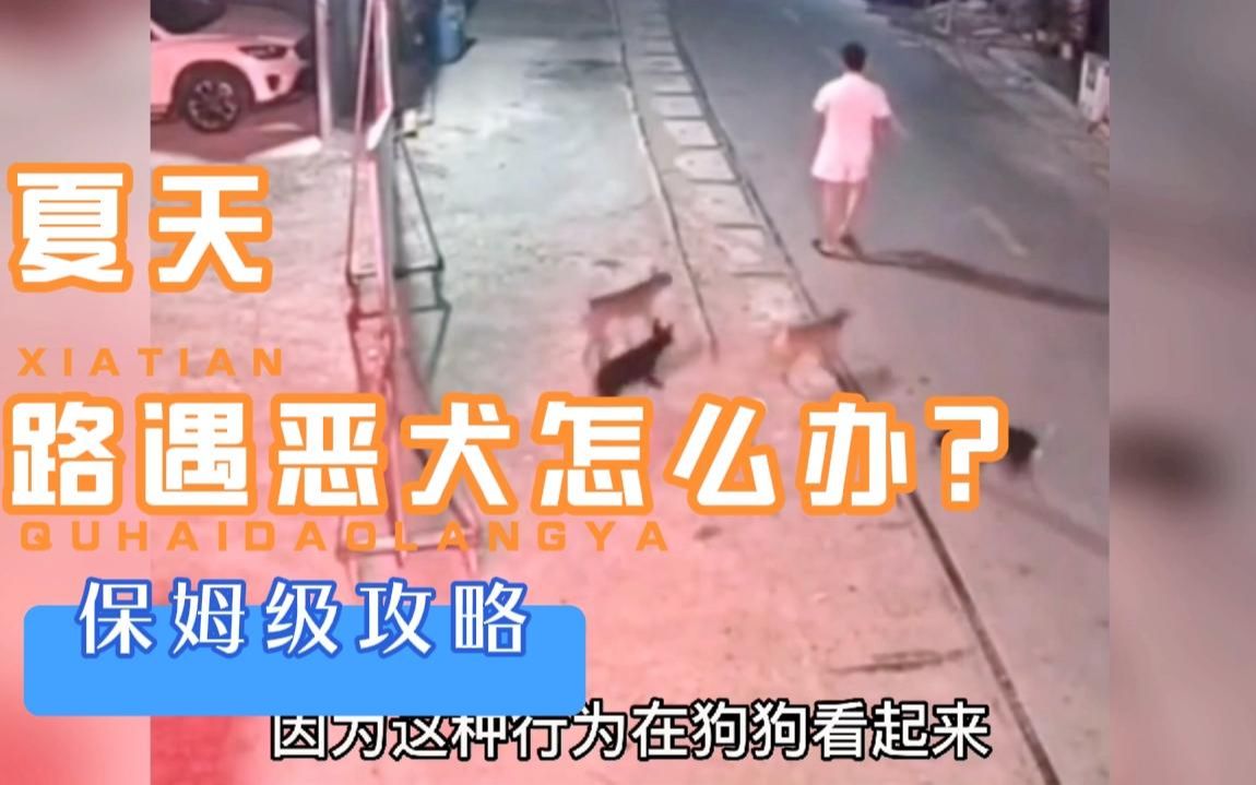 [图]路遇恶犬，被狗追咬怎么办，如何正确自救？