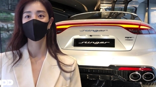 最美韩国车 Kia Stinger Gt 哔哩哔哩 つロ干杯 Bilibili