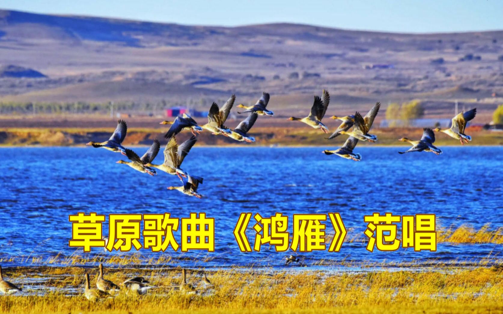 草原歌曲《鸿雁》范唱,刚柔相济,让人陶醉!