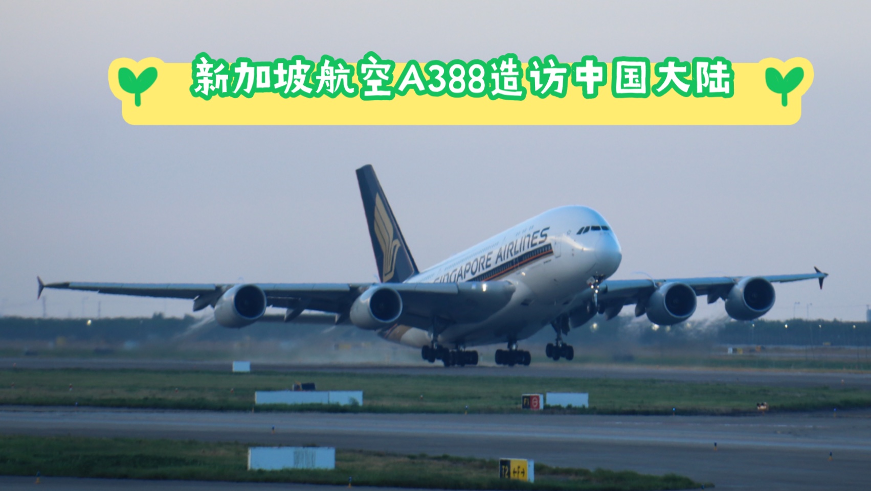 新加坡航空机型图片