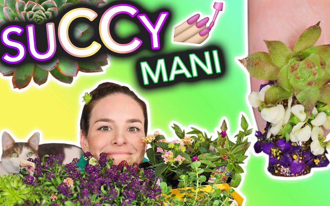 【Simply Nailogical】多肉植物美甲(花园除草美甲教程)哔哩哔哩bilibili