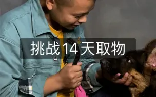 Download Video: 挑战，狗狗14天学会帮我拿5样东西